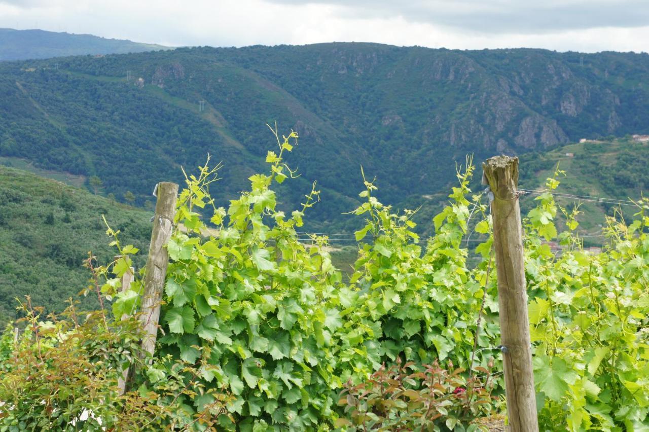 O Muino Casa Ferrador Ribeira Sacra Lägenhet Barantes Exteriör bild