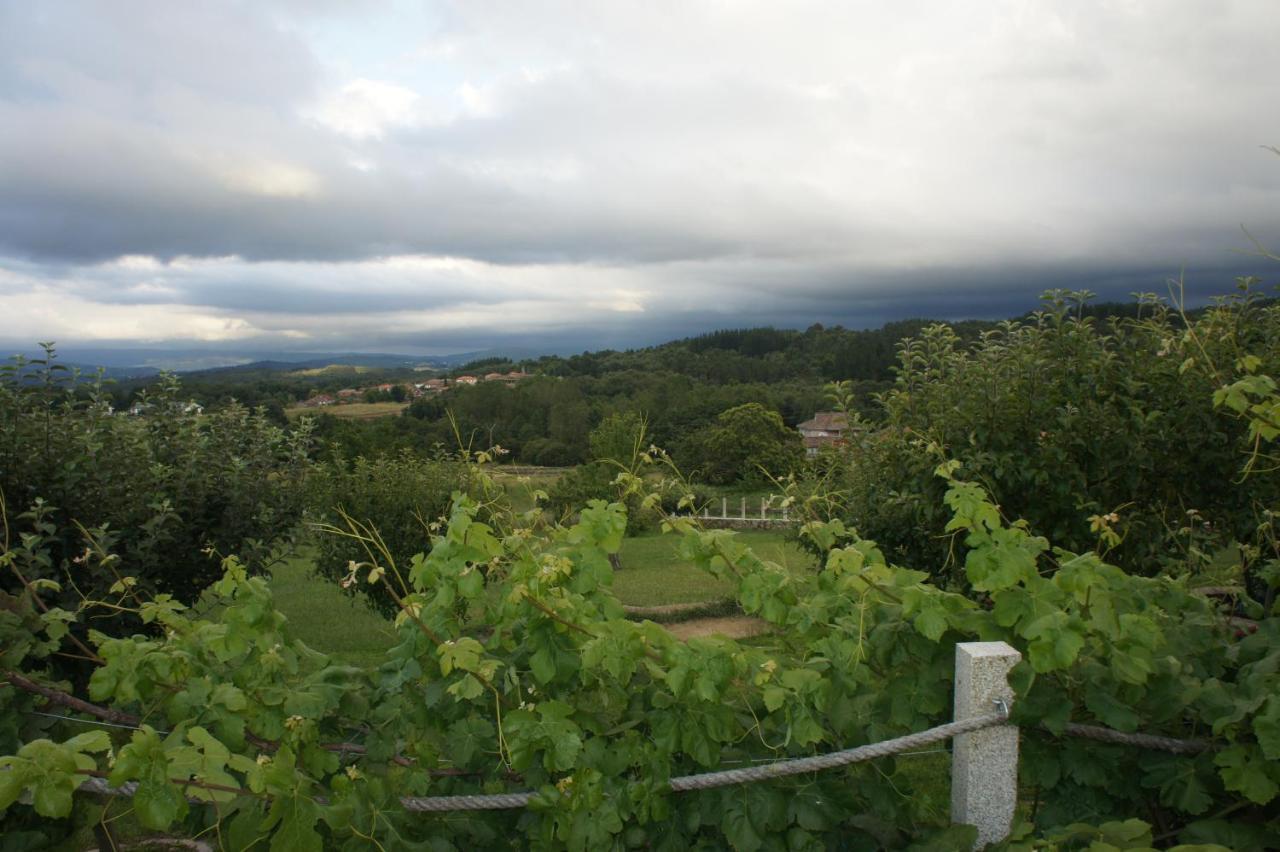 O Muino Casa Ferrador Ribeira Sacra Lägenhet Barantes Exteriör bild